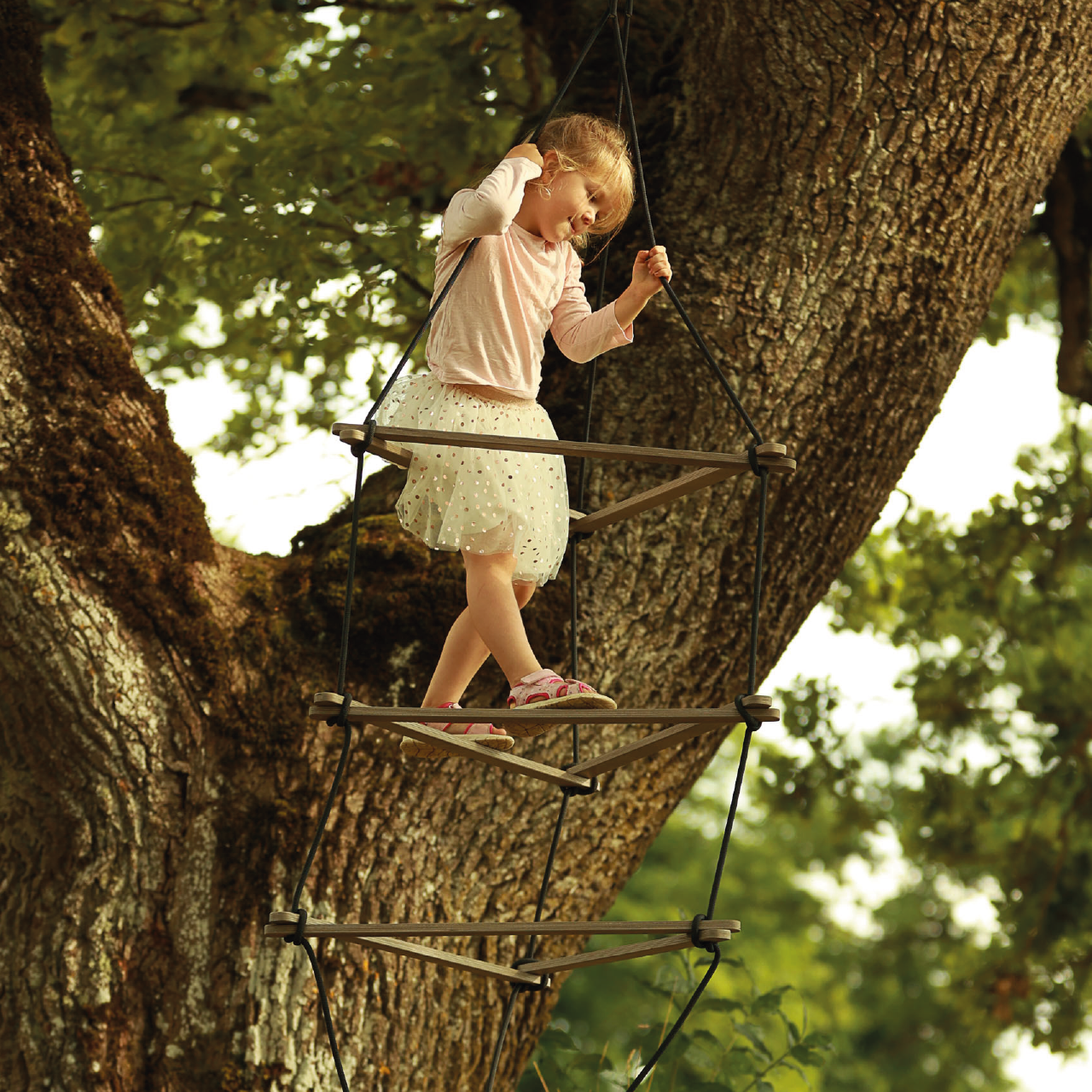 Rope ladder Triangle swing